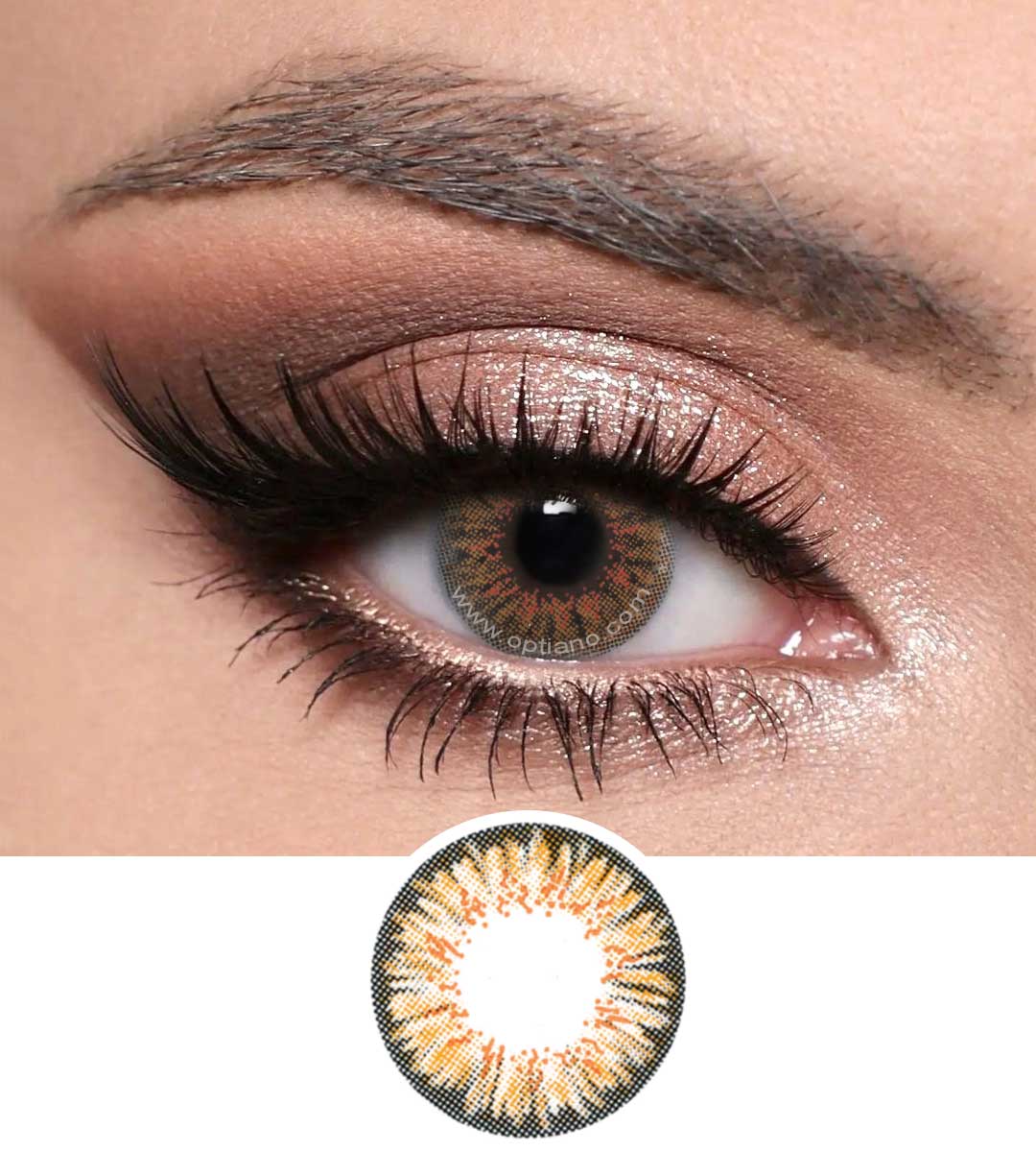 Daily wear Brown color contact lens